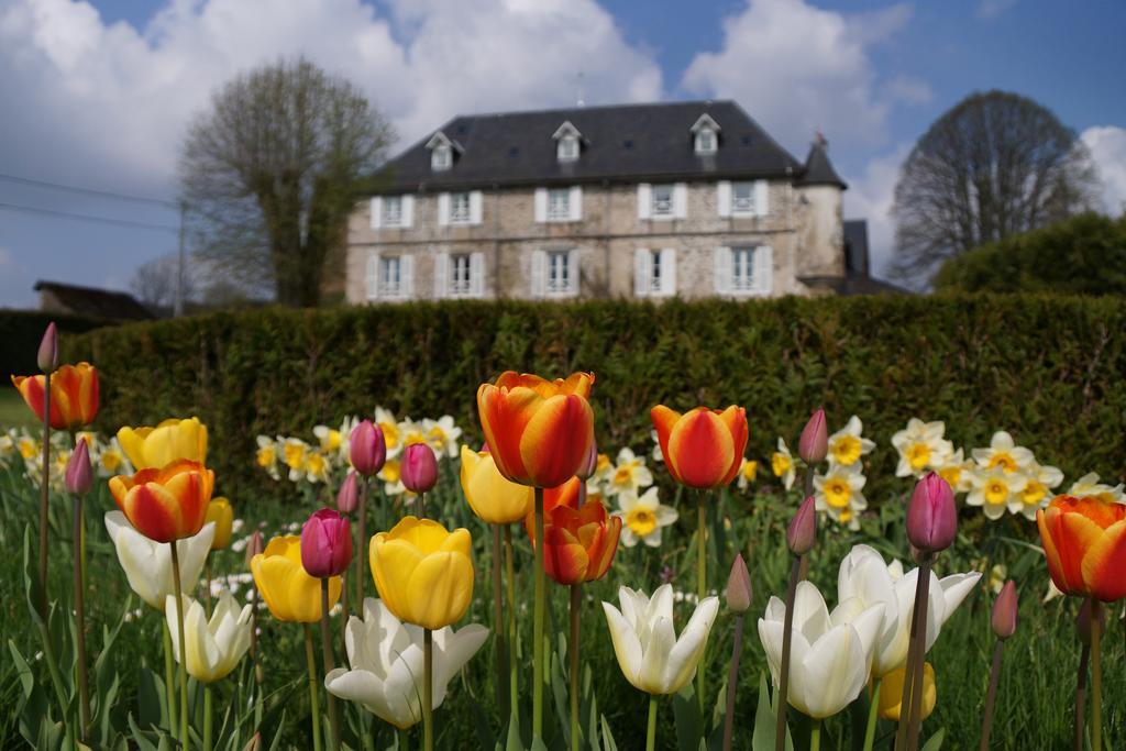 Chateau De Savennes - Caveau De Sabrage Exteriér fotografie